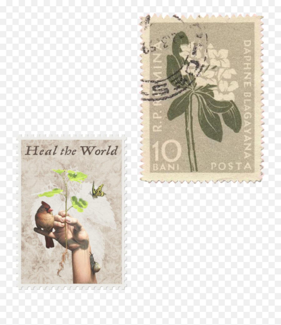 The Most Edited Mail Picsart - Aesthetic Vintage Stamp Png Emoji,Emoji Mail Stamps
