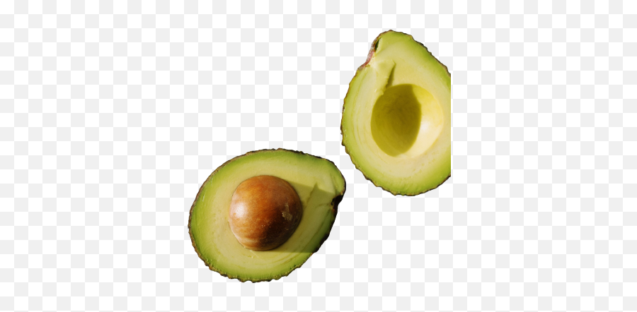 Avocado Png Images Hd Avocado Transparent Background - Hd Emoji,Avacado Emoji