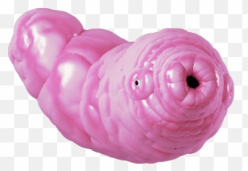 Top Sams Myth Stickers For Android U0026 Ios Gfycat - Jelly Gummies Gif Emoji,Caterpillar Emoji Pillow