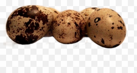 Wachteleier Eier Eggs Quail Sticker - Egg Emoji,Quail Emoji