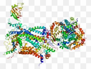 Aldob Gene Transparent Cartoon - Jingfm Aldolase B Structure Emoji,Emoji Movie Jailbreak Princess