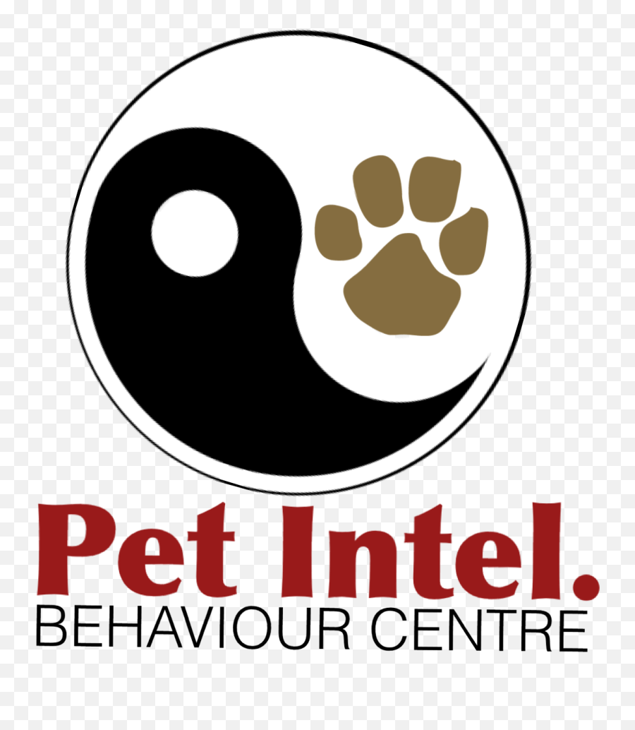 Foster Rescue Adopt Webinar Pet Intel U0026 Emotional Well - Dot Emoji,The Best Animal Emotion Support Lifetime