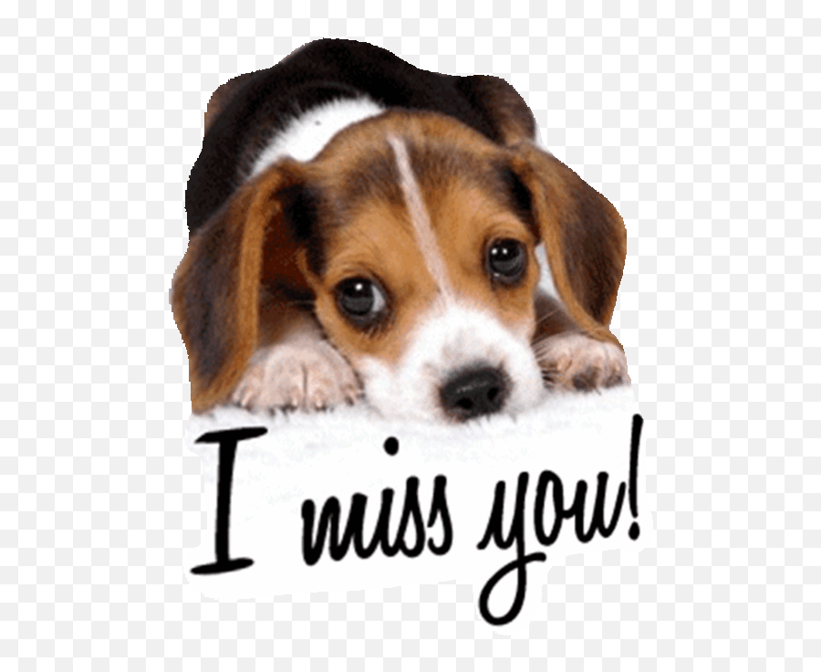 Apple Emoji I Miss You Page 1 - Line17qqcom Miss You Guys Gif,I Miss You Emoticon