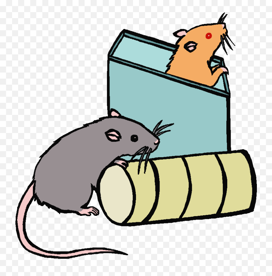 Rat Clipart Black And White - Rat Is In The Box Emoji,Rat Faces Emotions