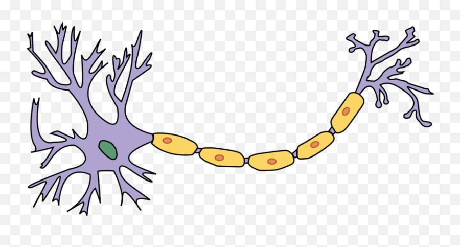 Communication System - Neuron No Labels Emoji,Is The Nervous Syst Responsible For Some Emotions