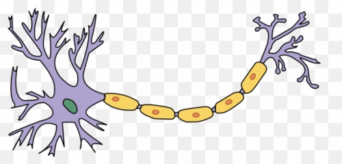Communication System - Neuron No Labels Emoji,Is The Nervous Syst Responsible For Some Emotions