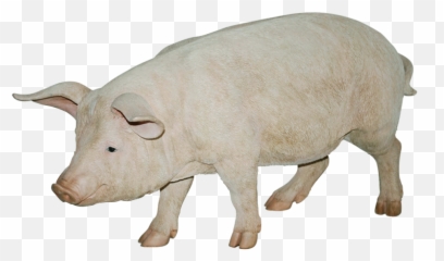 Walking Pig Png Transparent Images Emoji,Pig Emoji Mages Transparent Background