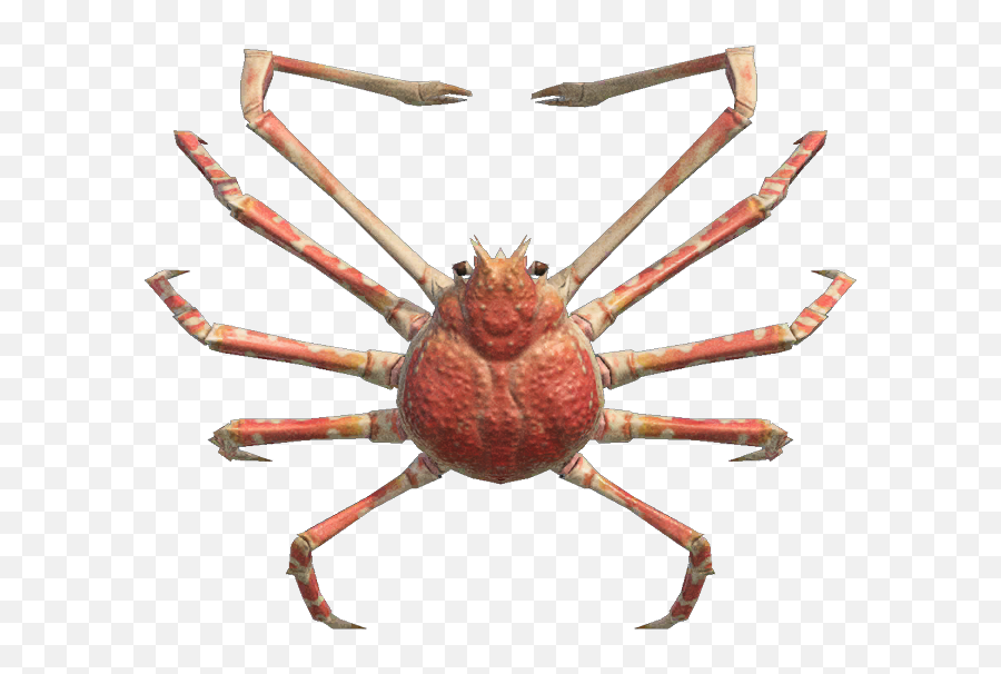 Im Growing Weary - Animal Crossing New Horizons Spider Crab Emoji,Crab Rave Emoji