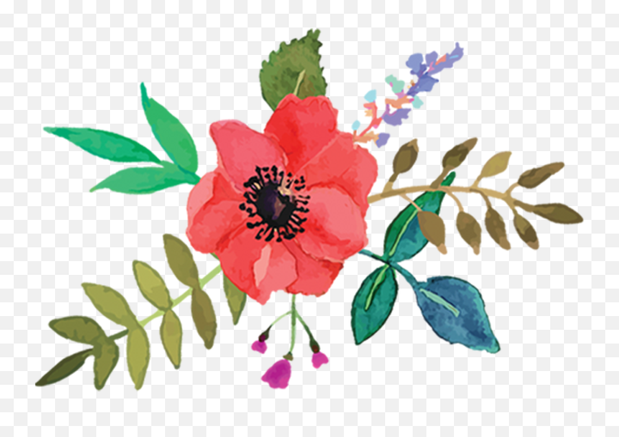 Whatu0027s New U2014 Kathryn Nolan Emoji,Seductive Kiss Emojis