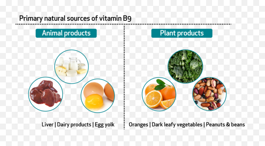 Learn About Your Vitamins And Minerals Vitamin B9 And Emoji,Peanuts Emotions Pictures