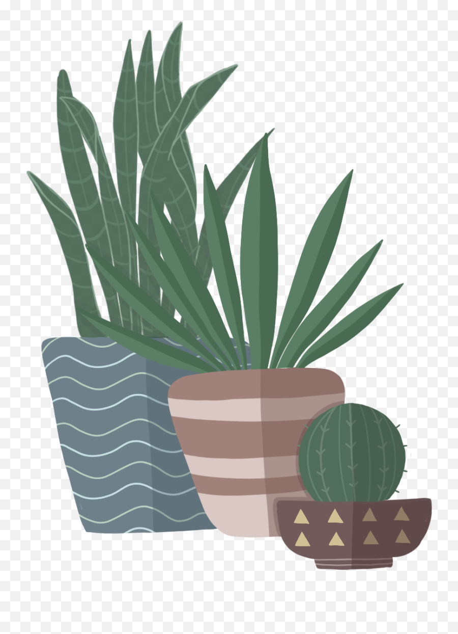 Heal With Yo - C Alianza Coachella Valley Emoji,Like A House Plant With Complicated Emotions