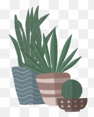 Heal With Yo - C Alianza Coachella Valley Emoji,Like A House Plant With Complicated Emotions