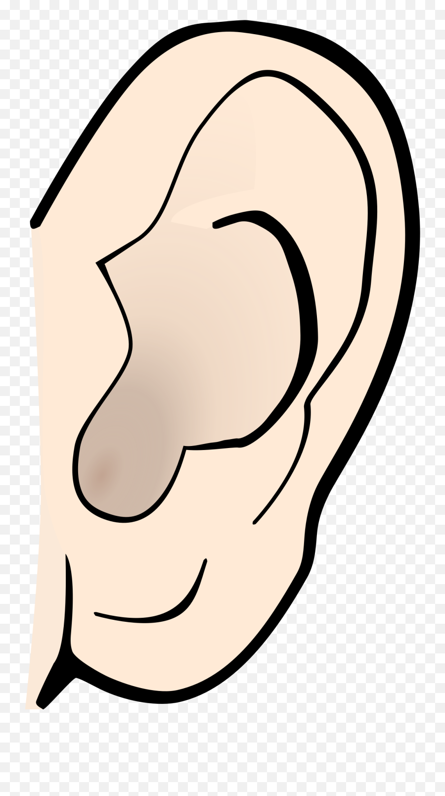 Free Ear Transparent Background - Big Ears Clipart Emoji,Right Ear Emoji
