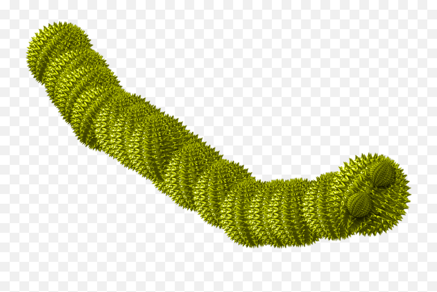 Free Caterpillar Worm Illustrations - Tipos De Malware Gusanos Emoji,Book Caterpillar Emoji