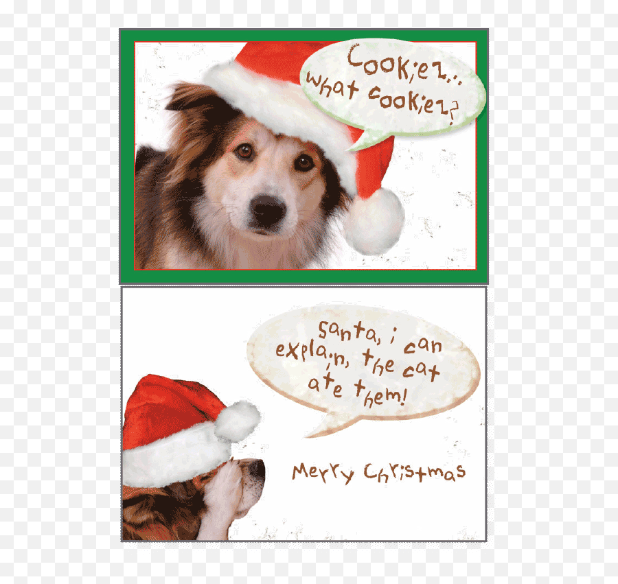 Dog Speak Merry Christmas Card Santai Can Explain - Santa I Can Explain Dog Emoji,Dog Emotion 50% Up