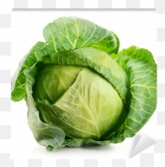 Raw Cabbage Isolated On White Wall Mural U2022 Pixers - We Live To Change Cabbage Leafy Vegetables Emoji,Cabbage Emoticon