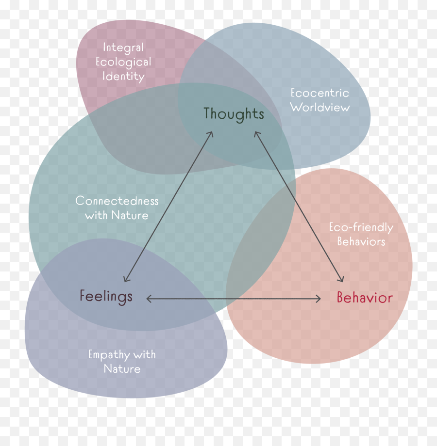 I Learned About Environmental Ethics - Diagram Environmental Psychology Emoji,Anthropomorphize Emotions