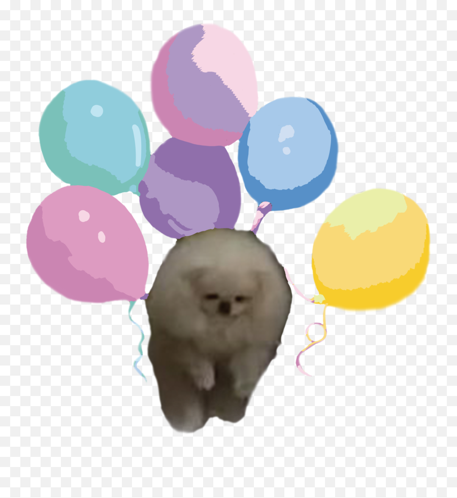 110 Exploring Image Pomeranian Ideas Pomeranian Emoji,Rpg Maker Multiple Emotion Balloons Script