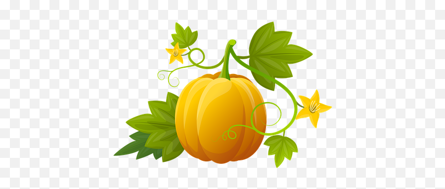 1000 Free Pumpkins U0026 Halloween Illustrations - Pixabay Quiz Questions On Vegetables For Kindergarten Emoji,Emoji Pumpkin Carving