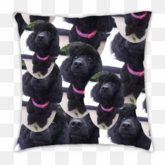 Personalised Multi Face Photo Cushion - Dog Supply Emoji,Emoji Cushions Ireland