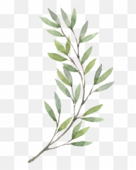 Download Plants Flower Wreath Watercolor Painting Hand - Plants Watercolor Png Emoji,Flag Paper Pens 1776 Emoji