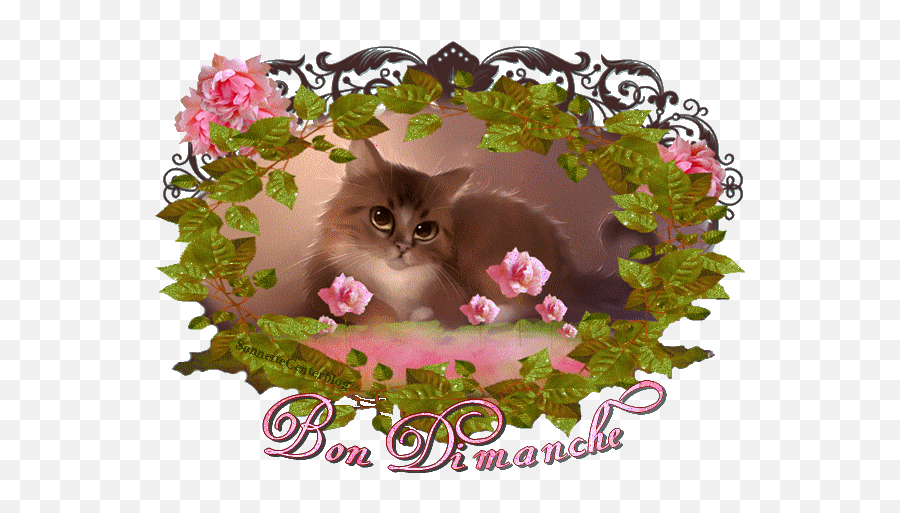 N677887 - Gif Gratuit Bon Dimanche Emoji,Asian Emojis Cat
