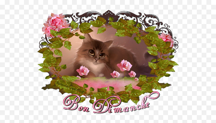 Bon dimanche картинки