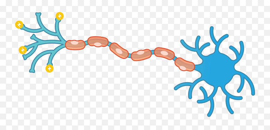 What Multiple Sclerosis Looks Like In - Multiple Sclerosis Neuron Trasnparent Emoji,Mri Brain Scan Tumor Emotion