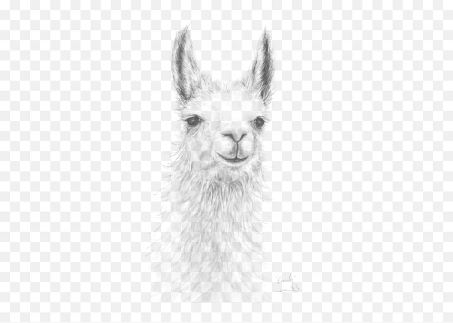 Emily Galaxy S4 Case For Sale By K Llamas - Realistic Llama Face Drawing Emoji,Modern Emojis For Samsung S4