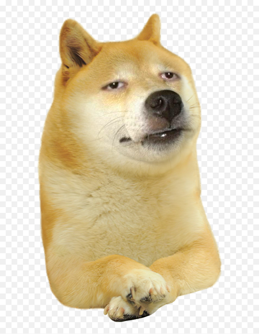 High Doge Remake Rdogelore Ironic Doge Memes Know - High Doge Emoji,Pembroke Welsh Corgi Emojis