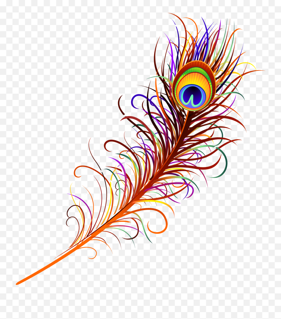 Peacock Feather Free Png Image - Colorful Floral Vector Design Png Emoji,Peacock Feather Ascii Emoticon
