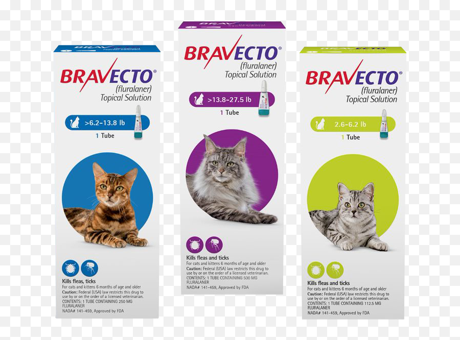 Flea U0026 Tick Treatment For Cats Bravecto Fluralaner Emoji,Tubs The Cat Emoticon
