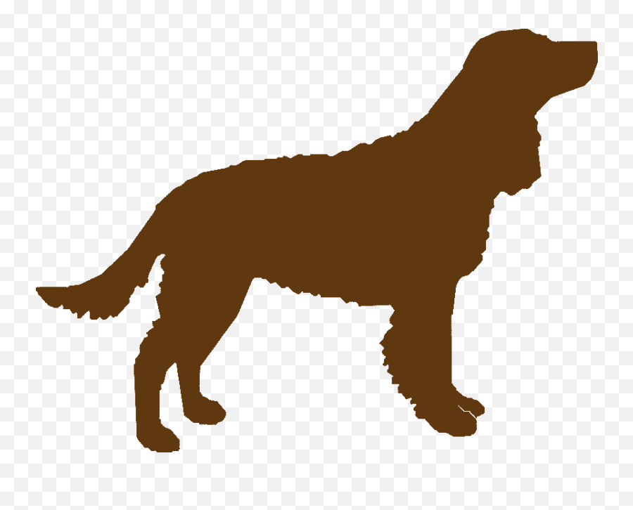 American Water Spaniel Rescue Inc - Maryland Pet Guide Emoji,Dog Emotions In Shelters