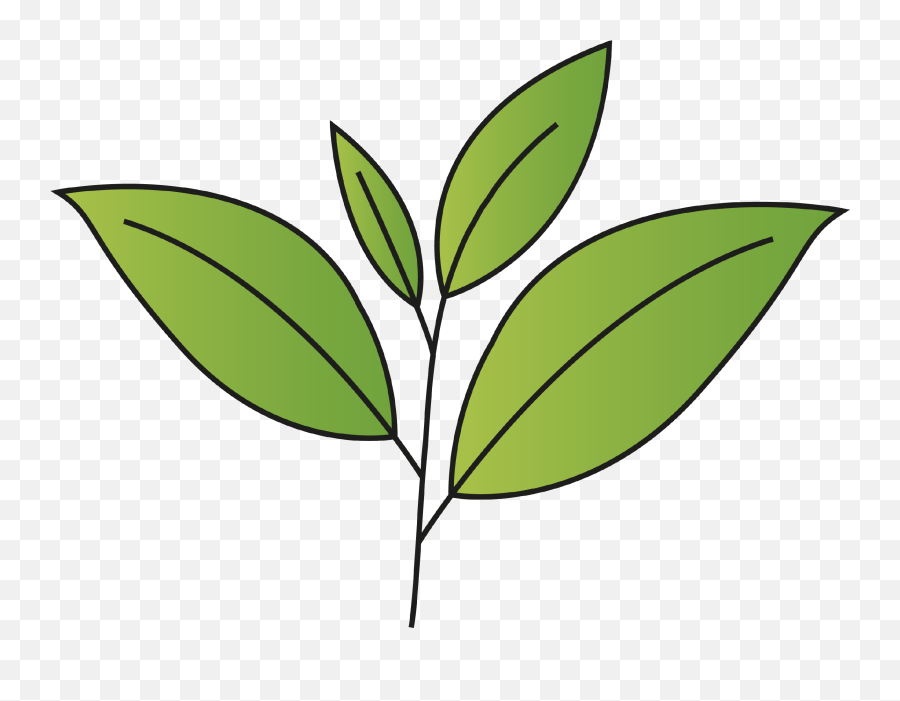 Boost - Lychee Aromatherapy Diffuser Emoji,Green Tea Emoji Png