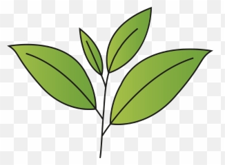 Boost - Lychee Aromatherapy Diffuser Emoji,Green Tea Emoji Png