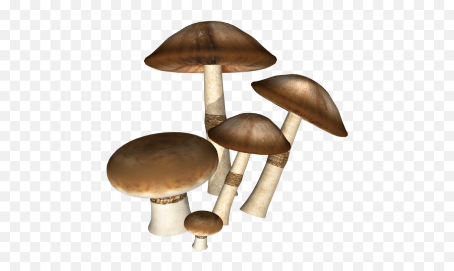 Icon - Dark Mushrooms Png Download 550500 Free Mushroom Png Hd Free Download Emoji,Mushroom Emoji