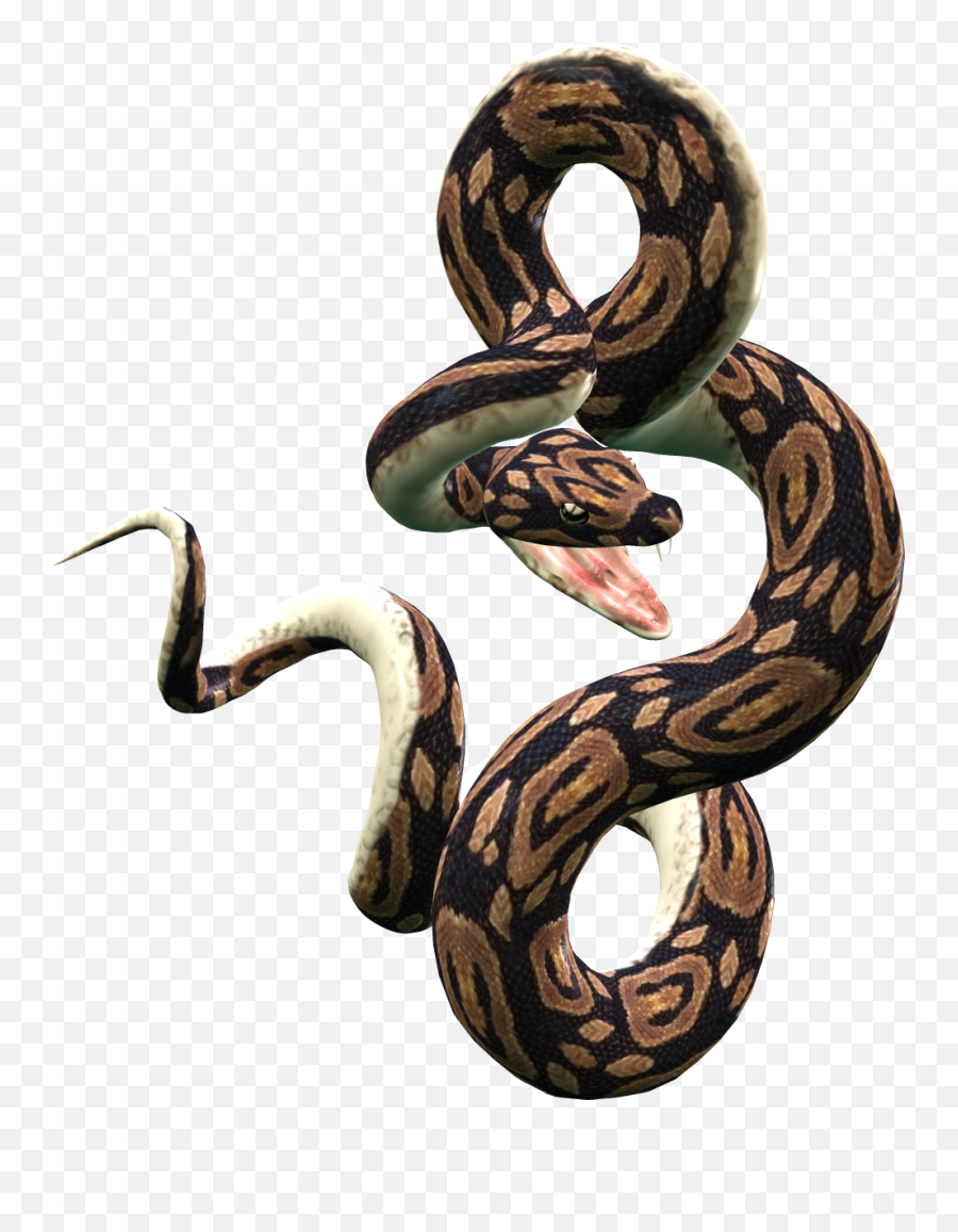 Snake Png And Vectors For Free Download - Python Snake Png Emoji,Emoji Ball Python