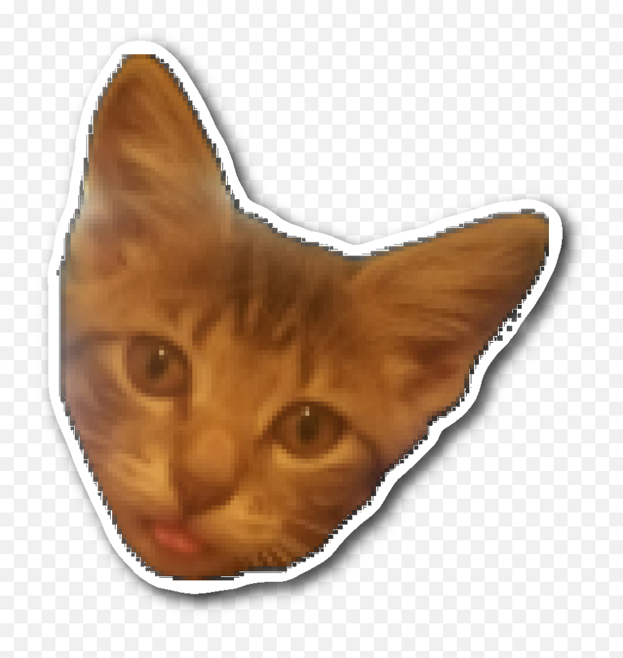 Mia Sticker - Domestic Cat Emoji,Twitch Kitty Emojis