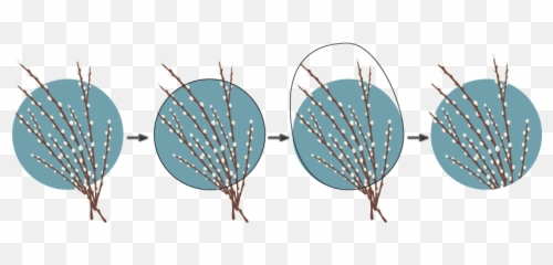 Quick Tip Cara Membuat Ilustrasi Willow Pus Dengan Anak - Dot Emoji,Cara Membuat Efek Emoticon Pada After Effect
