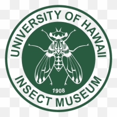 The University Of Hawaiu0027i Insect Museum - Sindh University Emoji,Nabokov Emoticon