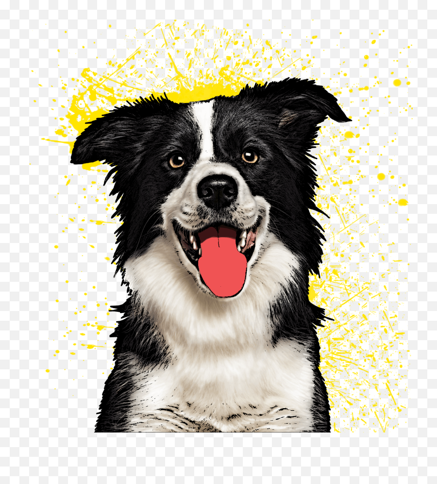 Dogs Cats More - Blue Heeler Border Collie Emoji,Dogs And Cats Emotions