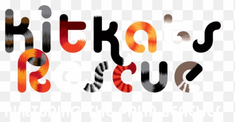 Donate Kitkats Rescue Emoji,Aerosmith Tribute Sweet Emotion