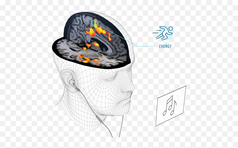 Brain Impact Consumer Neuroscience - For Adult Emoji,Brain Anatomy Emotions