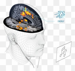 Brain Impact Consumer Neuroscience - For Adult Emoji,Brain Anatomy Emotions