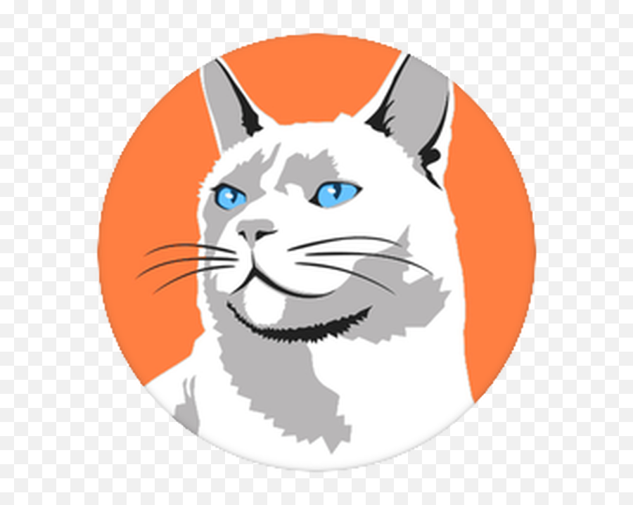 The Blue Eyed Cat Cat With Blue Eyes Cats Cat Gif - Happy Emoji,Hand Rooster Emoji