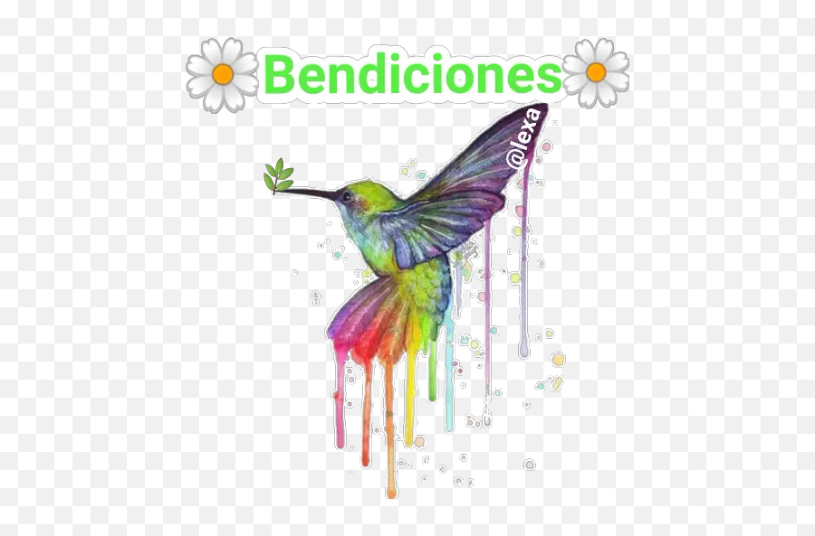 Sticker Maker - Beauty Stickers Hummingbird Of Watercolor Rainbow Emoji,Hummingbird Emoji