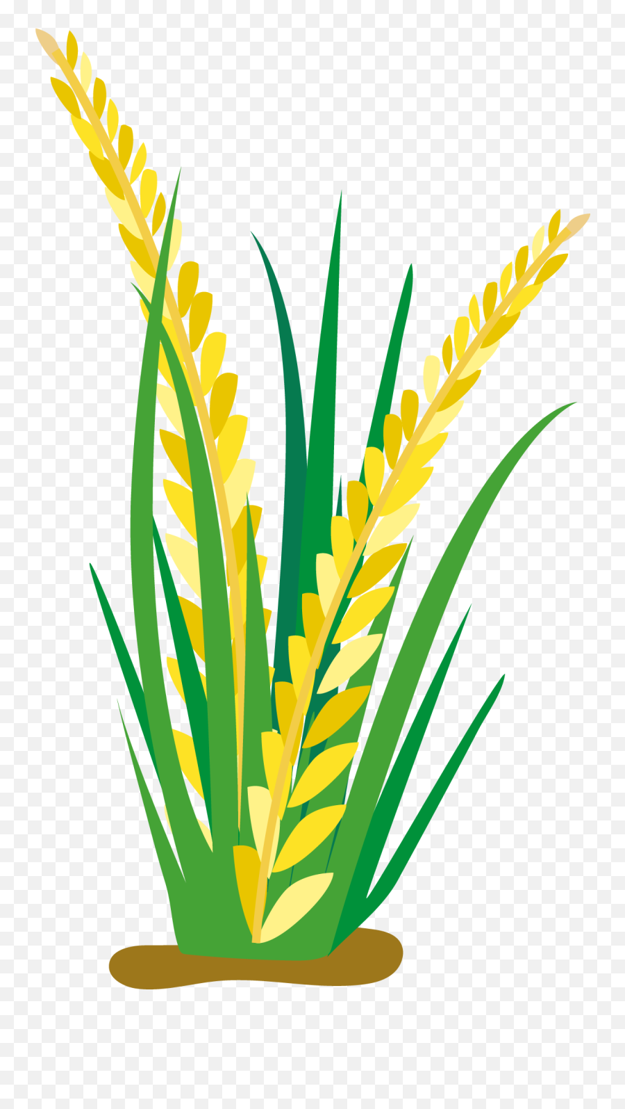 Rice Clipart Rice Crop Rice Rice Crop - Rice Emoji,Ear Of Rice Emoji