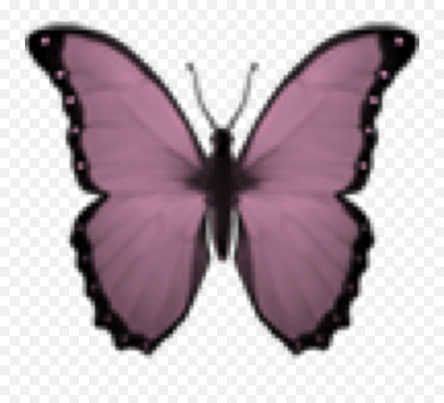 Butterfly Kelebek Emoji Smiley Sticker - Purple Butterfly Aesthetic Png,Moth Emoji