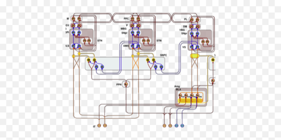 How Are The Billions Of Neurons In Your Brain Related To - Vertical Emoji,Emotions Instrumental