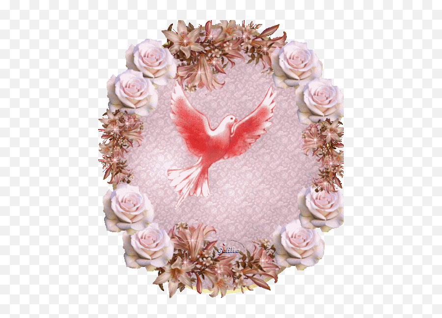 Pin En Aves - Fondo Rosados Con El Espiritu Santo Emoji,Emoticon De Callar